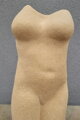 Torso