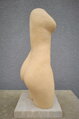 Torso