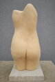 Torso
