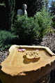 Vogeltrinkbrunnen mit Rose