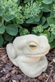 Frosch