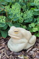 Frosch