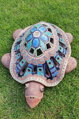 Schildkröte 