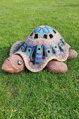 Schildkröte 