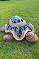 Schildkröte 