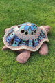 Schildkröte 