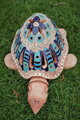 Schildkröte II