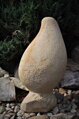 Muscheln