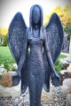 Engel