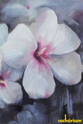 Hibiskusblüten - weiß