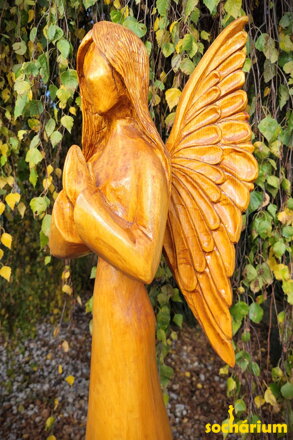 Engel