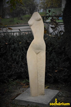 Torso einer Frau