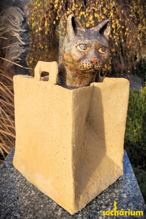 Katzenkauf