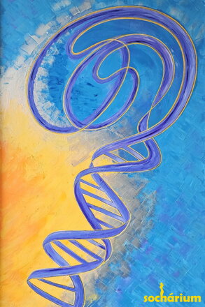 DNA I