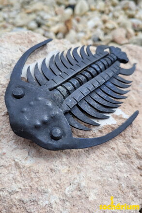 Trilobit