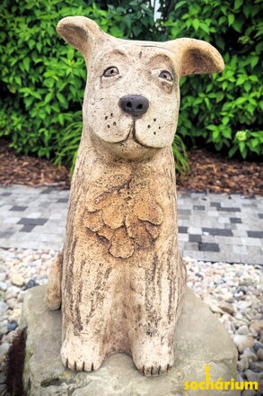  Hund