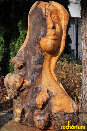 Das Gesicht von Licht und Schatten