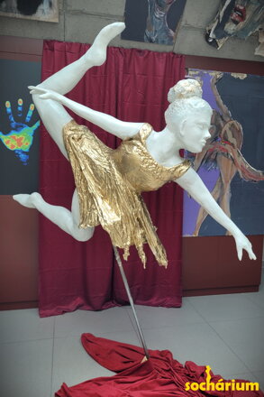 Ballerinas Flug