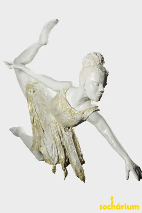 Ballerinas Flug