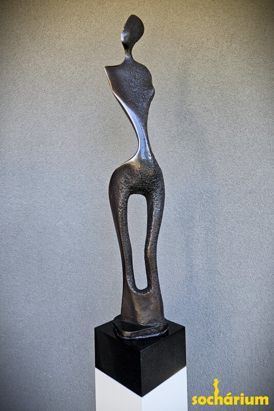 Torso