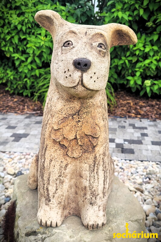  Hund