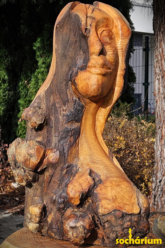 Das Gesicht von Licht und Schatten