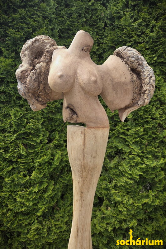 Engel