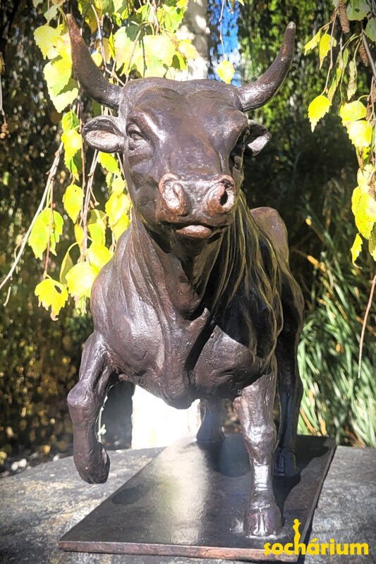 Stier