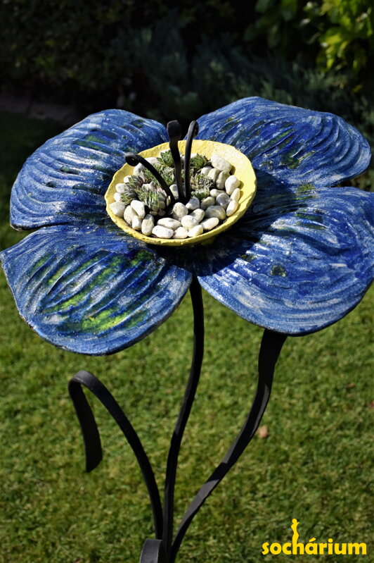 Blau-gelbe Blume
