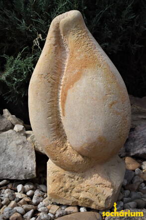 Muscheln