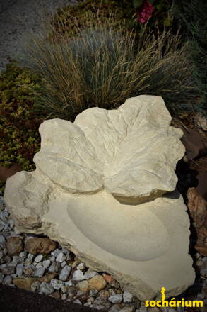 Trinkbrunnen mit Blatt